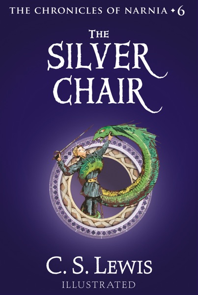 The Silver Chair Cover
